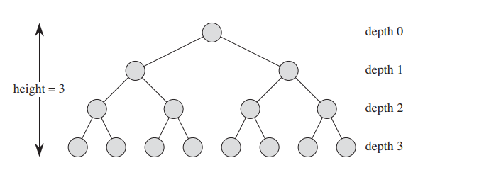  Binary and positional trees