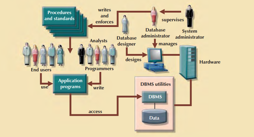 The database system environment