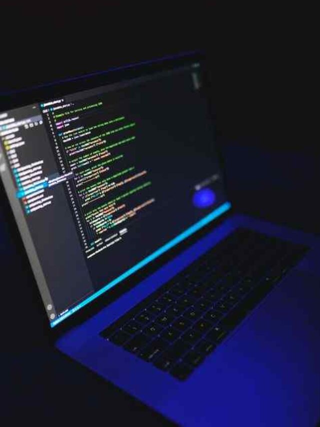 best programming language to learn in 2024